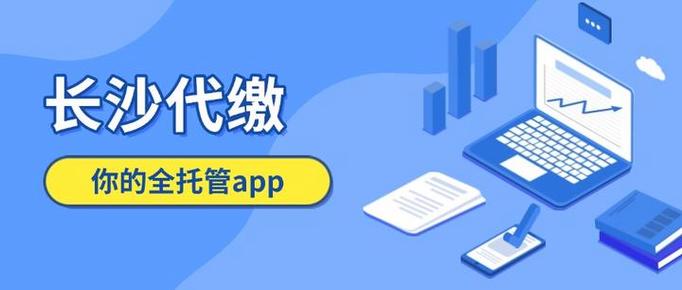 湘税社保怎样代人缴费游戏截图
