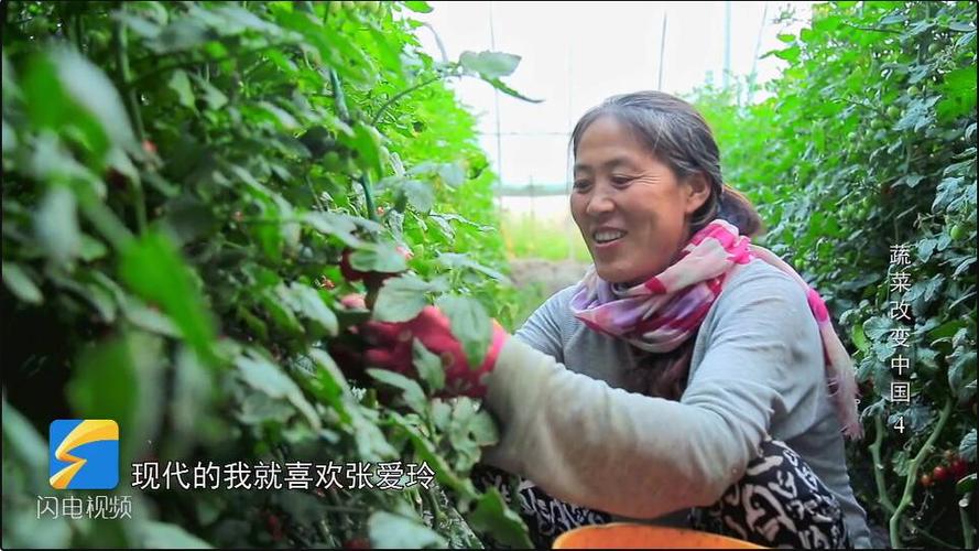 我在现代的农场主生活千千