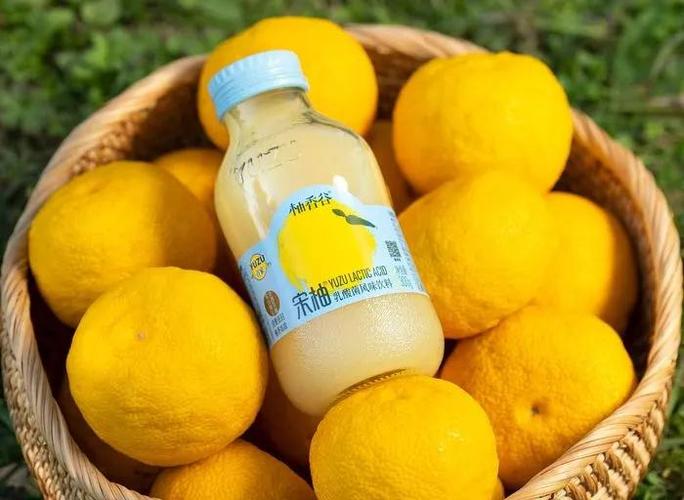 柚子熟了饮料