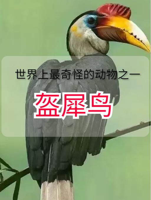 奇怪世界