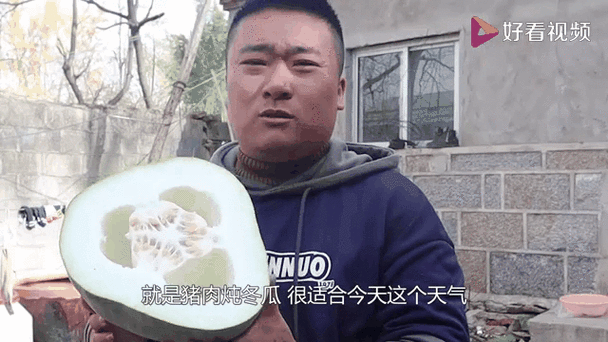 大冬瓜好吃还是小冬瓜好吃图标