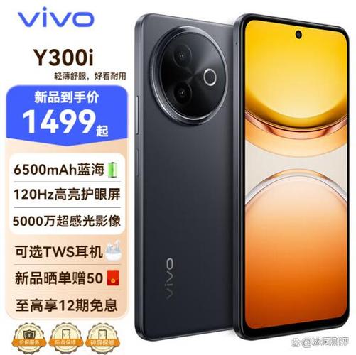 vivoy300i没有耳机孔吗
