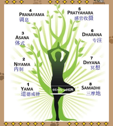 平板支撑能补肾吗
