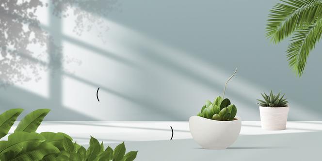 搜同名