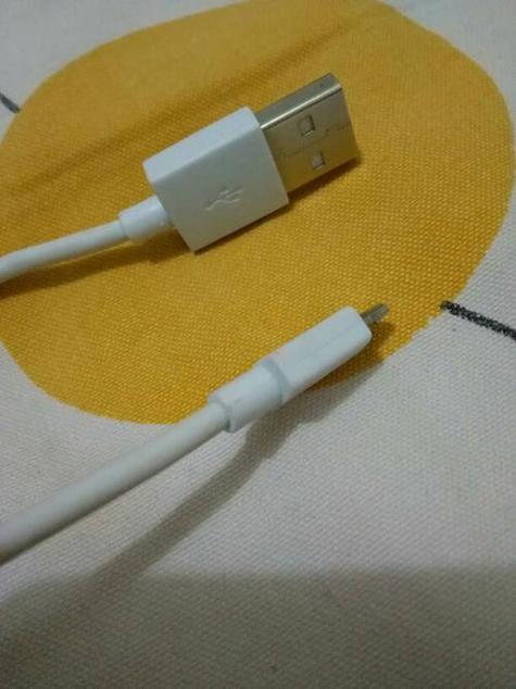 苹果充电器掉水里还能用吗