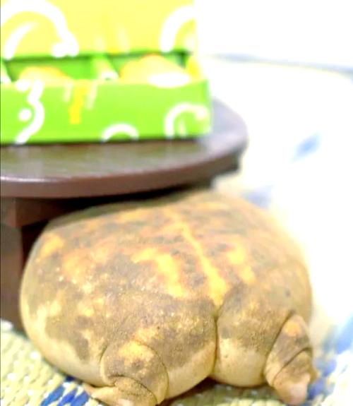 《馒头》视频缩略图
