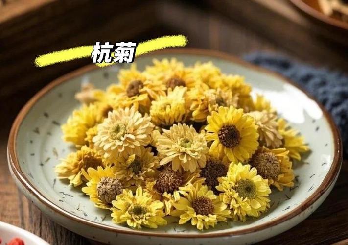菊花归经