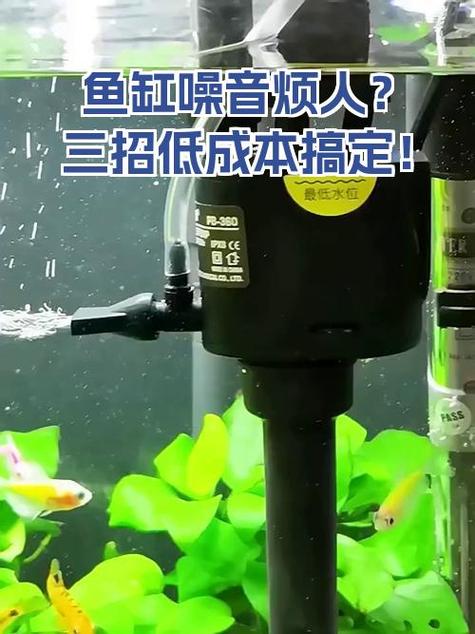 鱼缸噪音大解决方法游戏截图