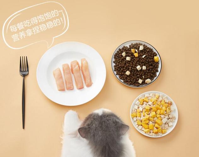 猫粮管饱by缩略图