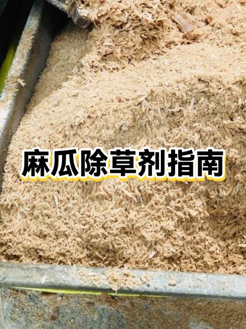 麻瓜是什么意思