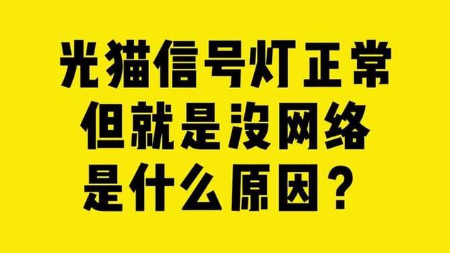 猫灯正常可是没有网络