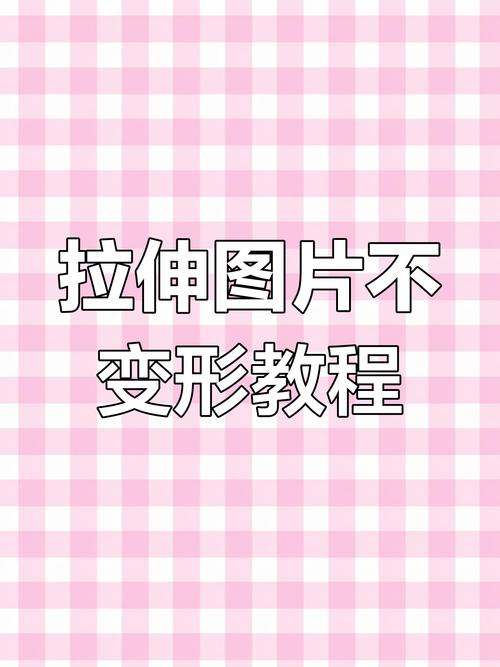 什么叫拉美化