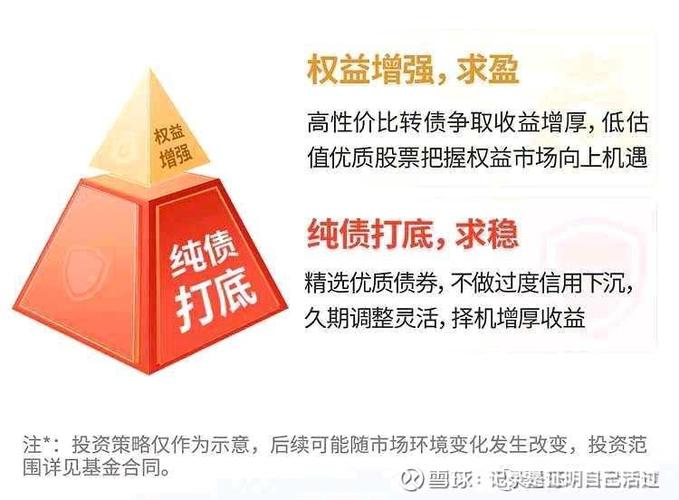 金信稳健策略优势版