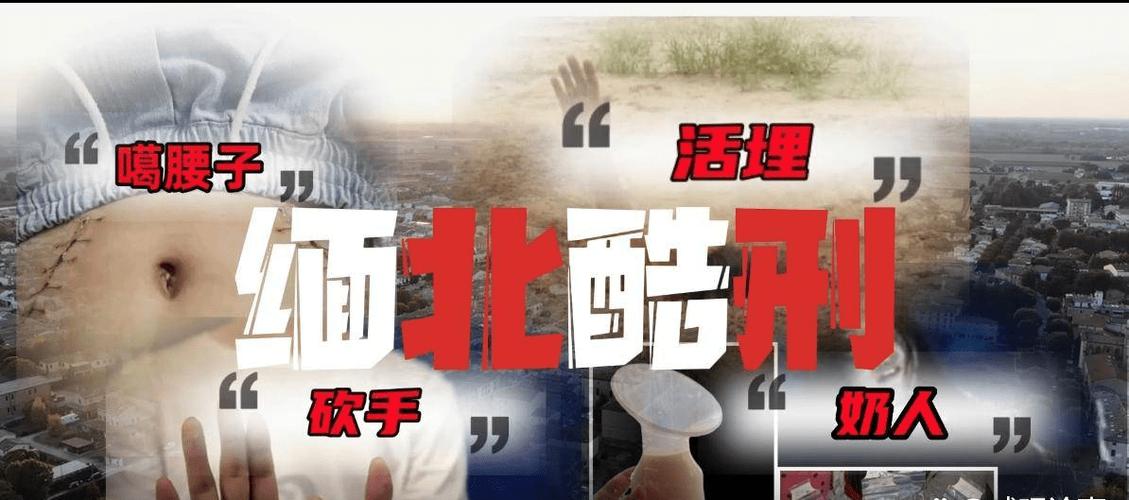 缅北在线观看