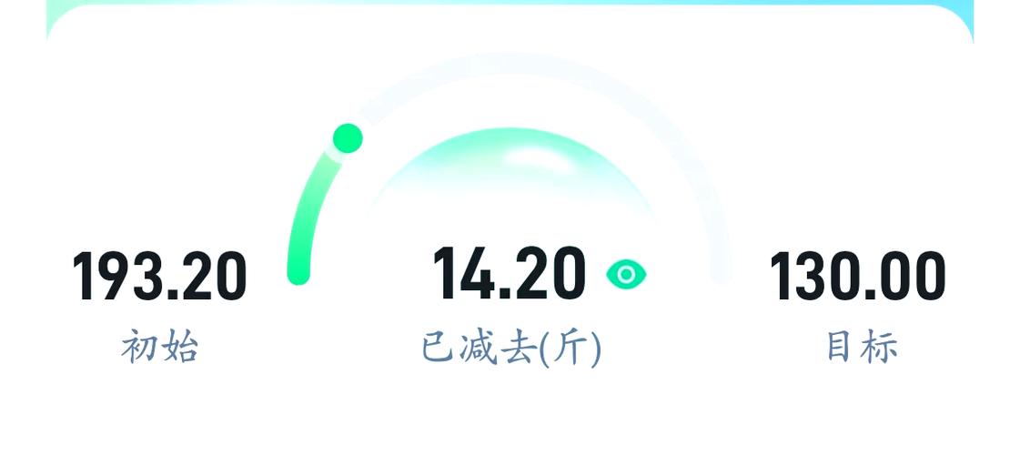 薄荷记录体重怎么改斤