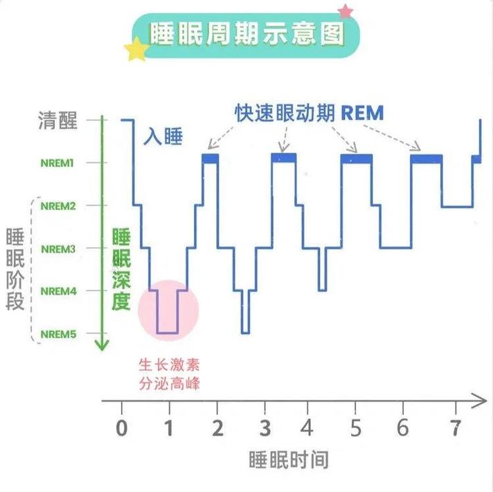 什么是rem睡眠图标