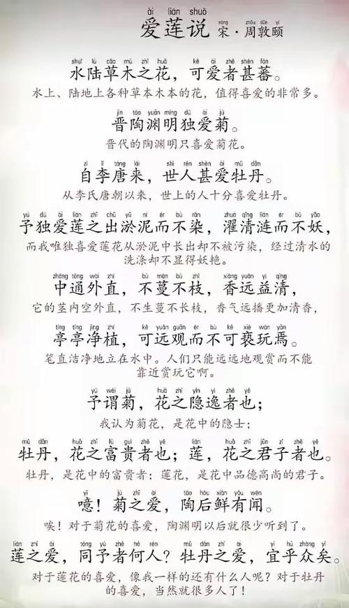 爱莲说是诗还是词