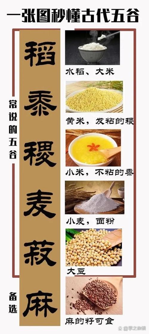 五谷都是什么