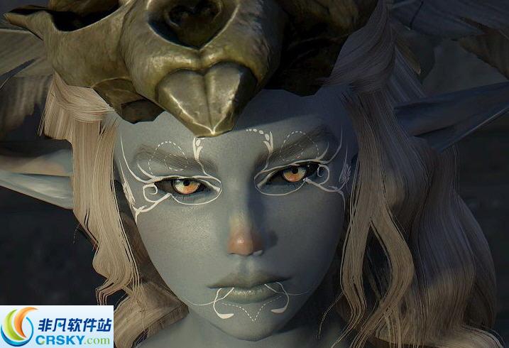上古卷轴5蓝客灵酋长任务bug