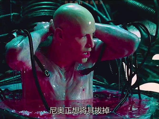 黑客帝国免费观看