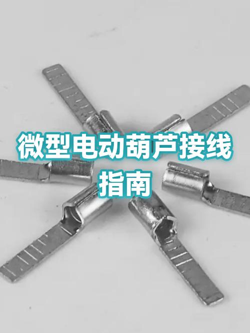 电动葫芦开关接线图解 220v游戏截图
