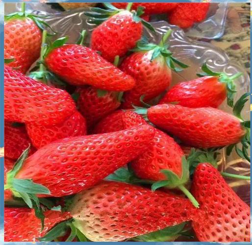 香蕉草莓优缺点