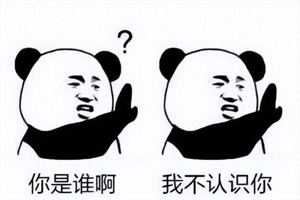 你是谁表情包