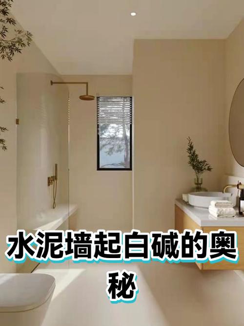 水泥墙上的白色碱怎么去除