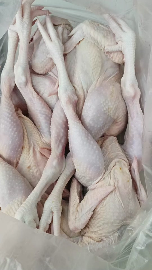 三黄鸡图片