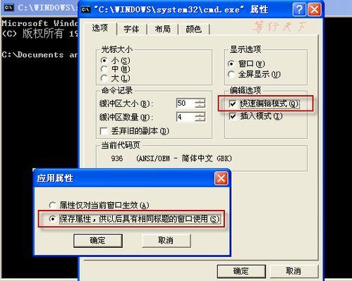 命令窗口如何复制粘贴截图