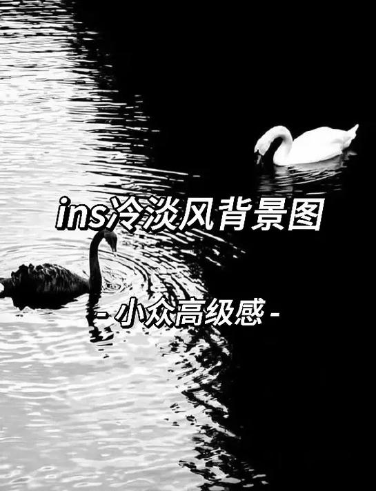 抖音上ins的隐喻