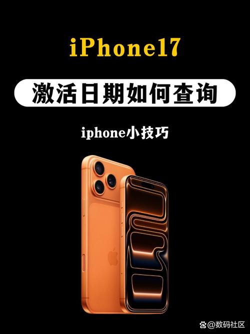 苹果17怎么查是否激活过图标