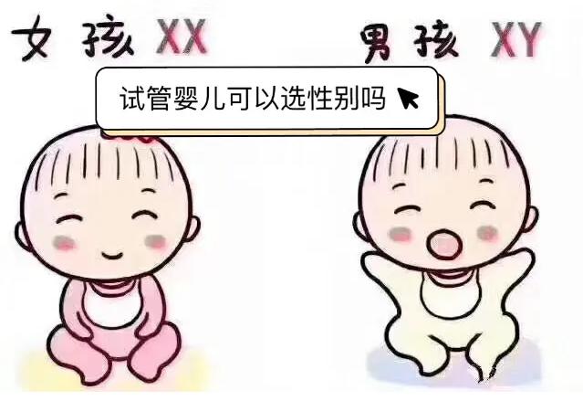 excel表格选择男女游戏截图