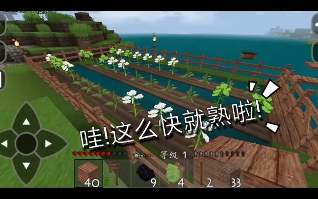 生存战争棉花团从哪里拿