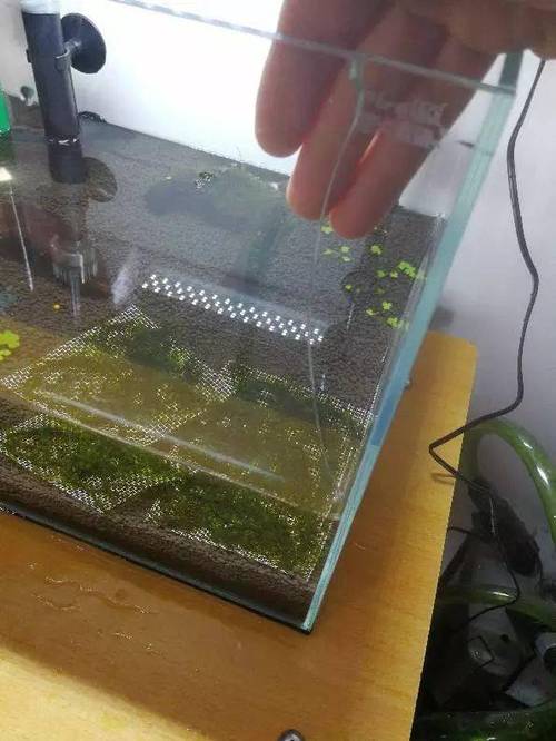 鱼缸可以扔掉么