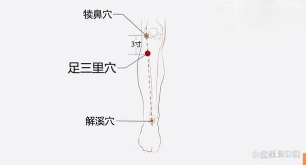 太极穴准确位置及功效作用