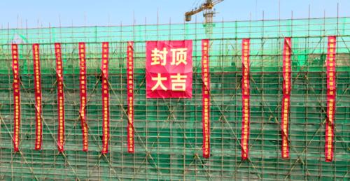 随手拍一个月封顶多少钱