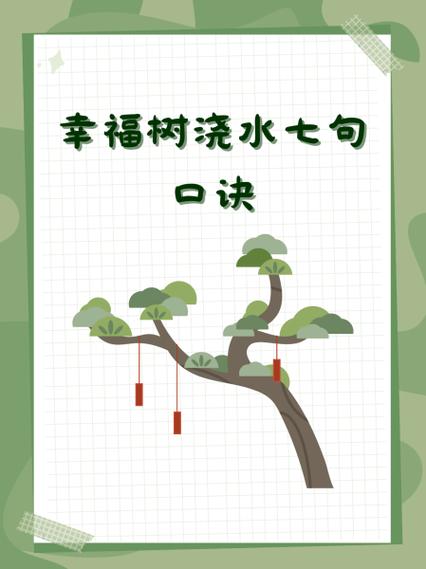 幸福树浇水方法