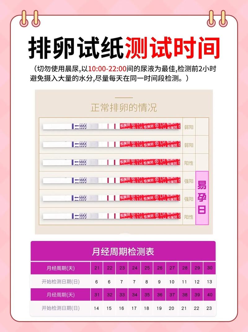 怎么知道自己排卵了