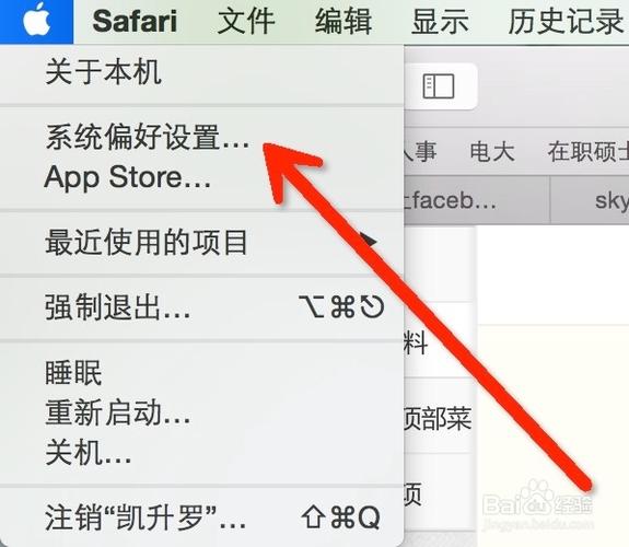 苹果怎么开启多点触控