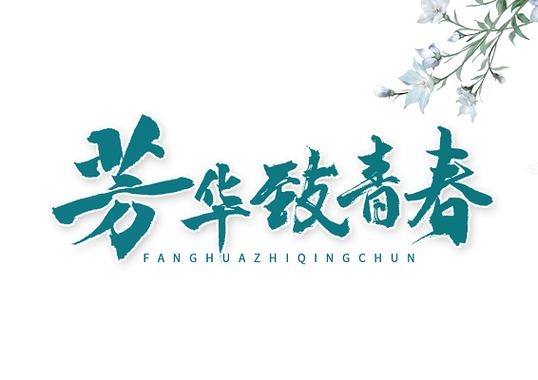 下载芳华缩略图