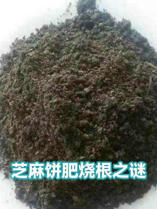 芝麻饼热量高吗游戏截图