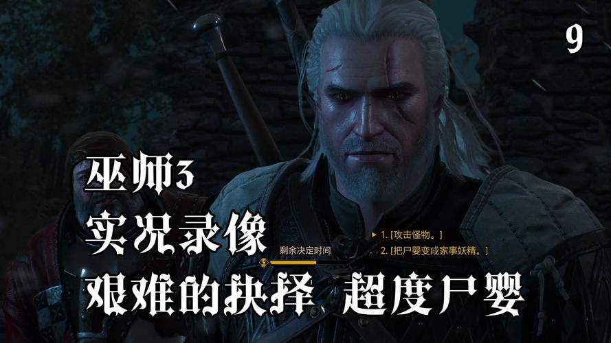 巫师3尸婴杀不杀缩略图