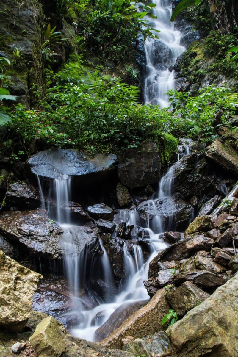在山泉水清出山泉水浊