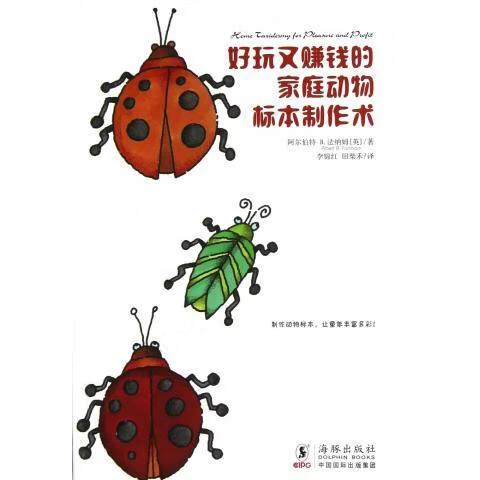海豚赚钱图标
