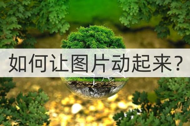 照片动起来免费
