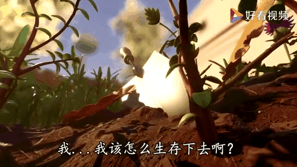小浪同款地面生存下载