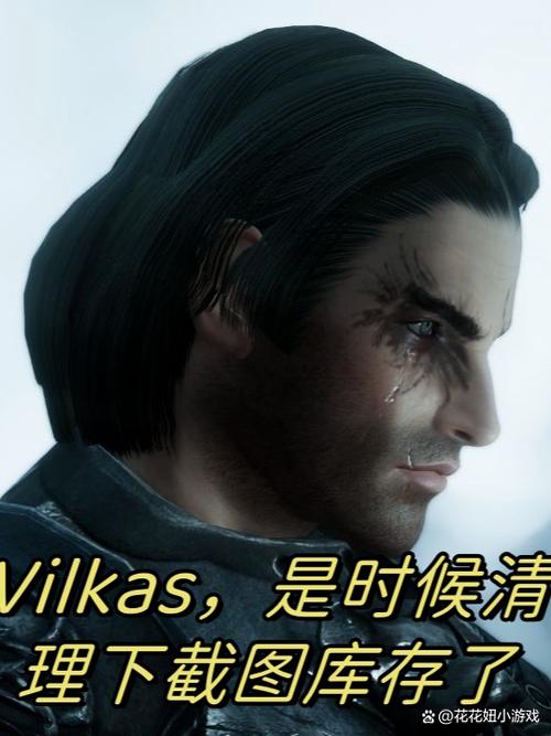 上古卷轴战友团任务代码