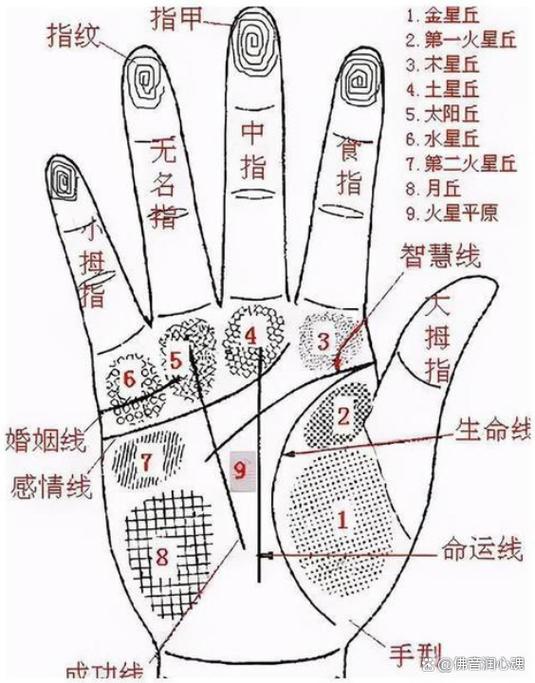 手掌多了一条竖线