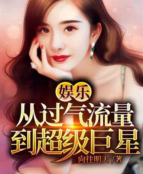 从流量到天王巨星 小说缩略图